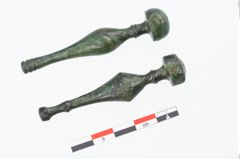 Foto von Bronzenadelspitzenschoner (NHMW-PRAE-025394)